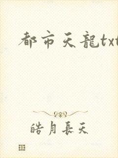 都市天龙txt