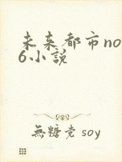未来都市no.6小说