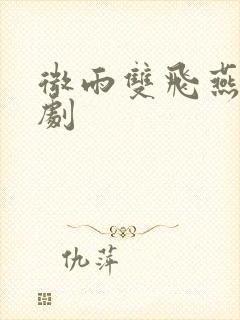 微雨双飞燕电视剧