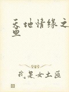 天地情缘之美人鱼