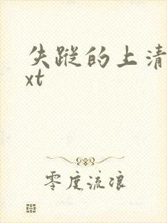 失踪的上清寺txt