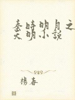 秦时明月之夜尽天明小说