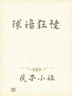 球场狂徒