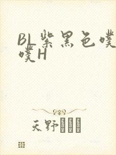 BL紫黑色噗嗤噗H