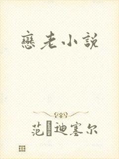 恋老小说
