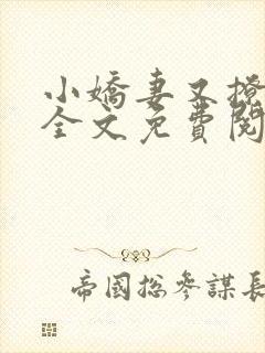 小娇妻又撩又甜全文免费阅读