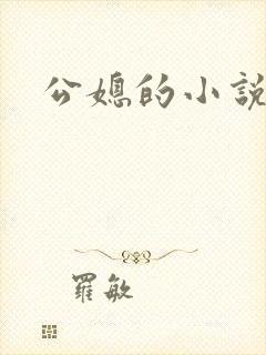 公媳的小说