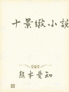 十景缎小说