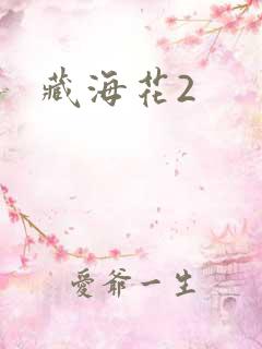 藏海花2
