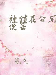 被锁在公厕当坐便器