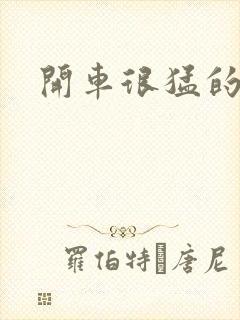 开车很猛的古文