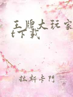 王牌大玩家txt下载