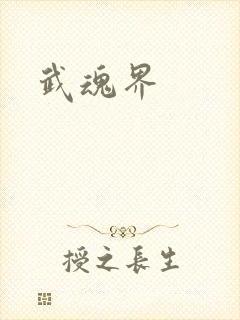 武魂界