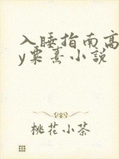 入睡指南高干by粟熹小说