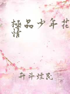 极品少年花都燃情