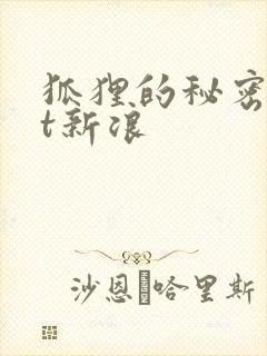 狐狸的秘密txt新浪