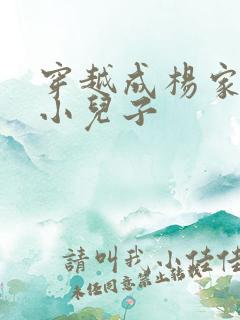 穿越成杨家将最小儿子