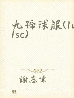 九号球服(1v1sc)