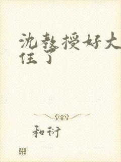 沈教授好大含不住了