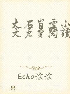 大石肖雪小说全文免费阅读