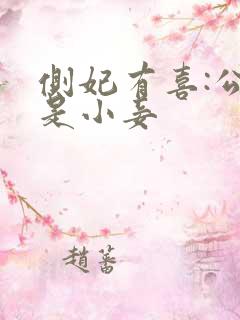 侧妃有喜:公主是小妾