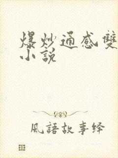 爆炒通感双胞胎小说