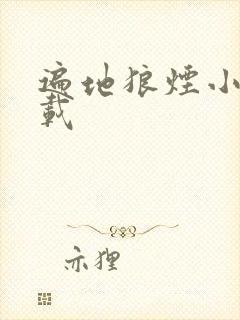 遍地狼烟小说下载