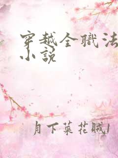 穿越全职法师的小说