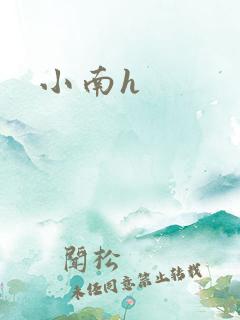 小南h
