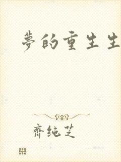梦的重生生活