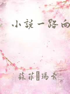 小说一路向西