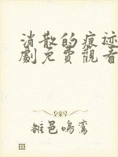 消散的痕迹电视剧免费观看完整版