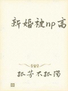 新婚被np高h