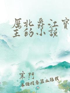 厉北爵江宝宝男主的小说