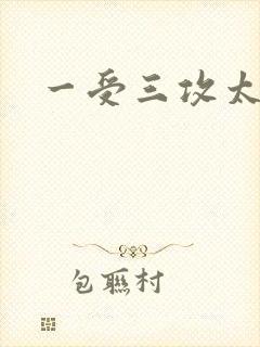 一受三攻太涨了