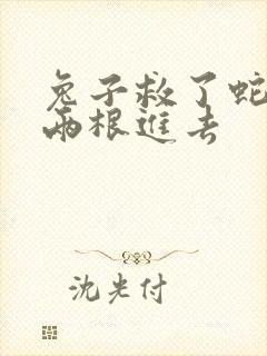 兔子救了蛇被蛇两根进去