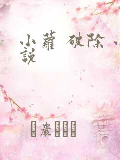 小萝 破除 小说