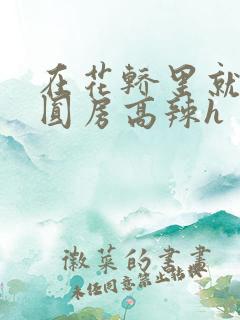 在花轿里就开始圆房高辣h