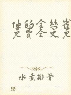 他的金丝雀小说免费全文免费阅读