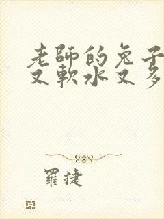 老师的兔子又大又软水又多