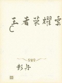 王者荣耀云缨被C