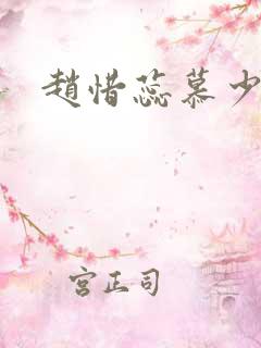 赵惜蕊慕少辞