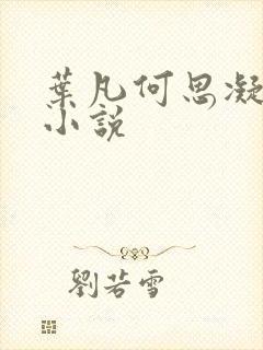 叶凡何思凝七月小说