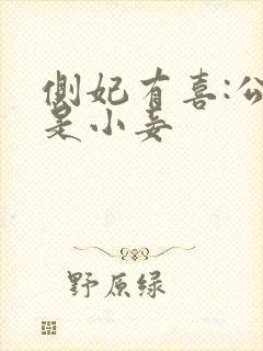 侧妃有喜:公主是小妾