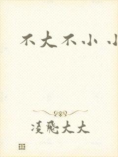 不大不小 小说