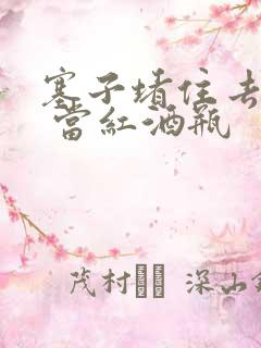 塞子堵住去上学 当红酒瓶