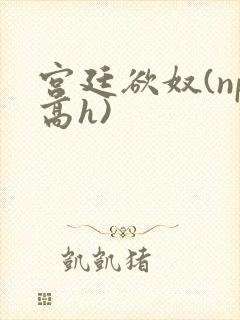 宫廷欲奴(np高h)