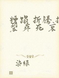 糟蹋 折腾 撕裂 疼 死 哀求