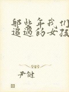 那些年我们一起追过的女孩小说