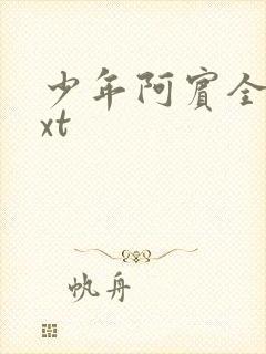 少年阿宾全集txt